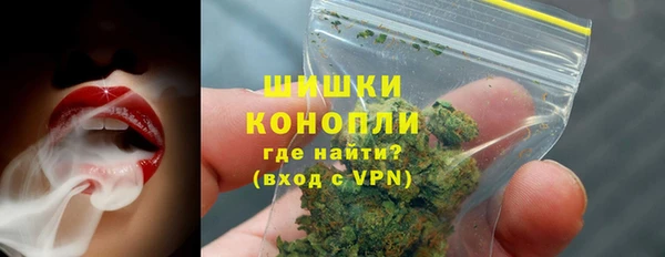 МДПВ Нефтегорск