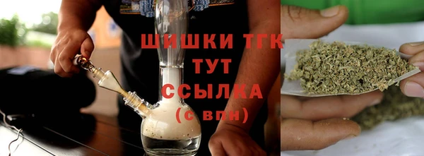 МДПВ Нефтегорск