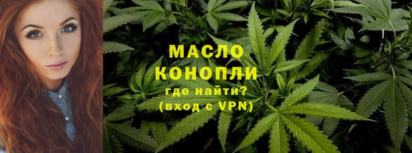 индика Вязники