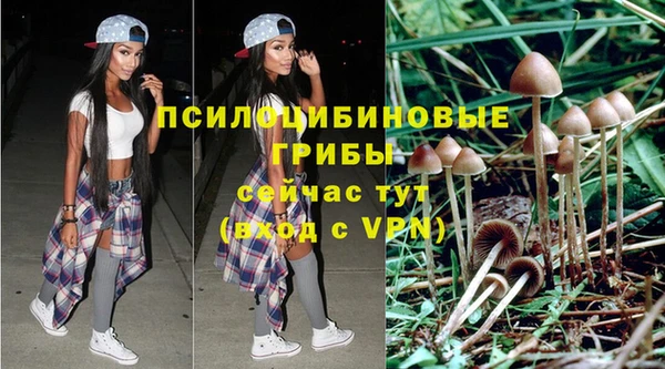 МДПВ Нефтегорск