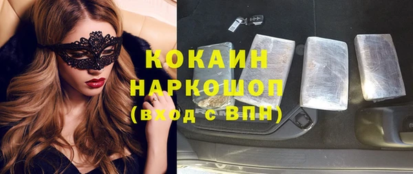 гашик Надым