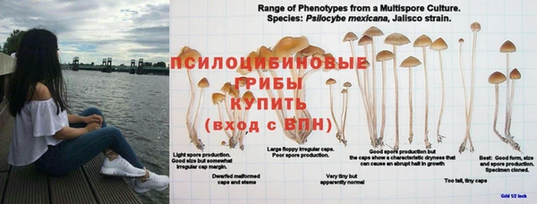 эйфоретик Нея