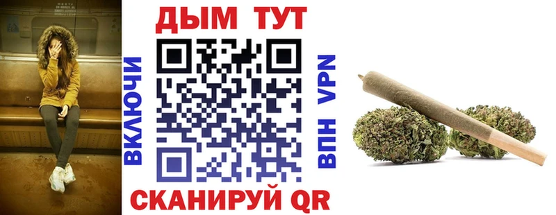 Конопля гибрид  Зубцов 